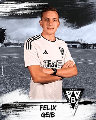 Felix Geib
