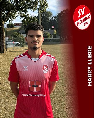 Harry Llibre Ruiz