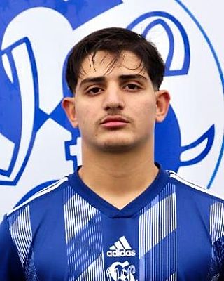 Mohammad Ameen Al Akrad