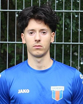 Rares Andrei Paul Saceanu