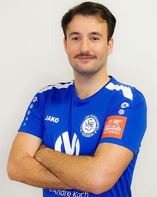 Sinan Sari