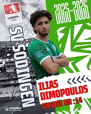 Ilias Dimopoulos