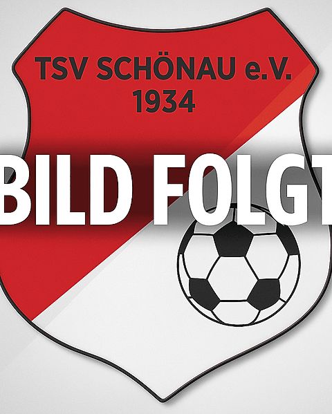 Foto: TSV