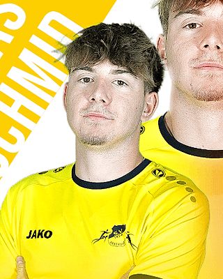 Jonas Schmid