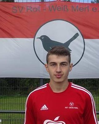 Mikhail Gromak