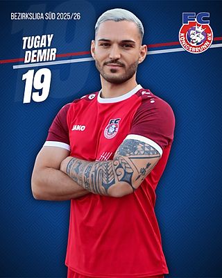 Tugay Demir