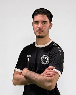 Ajdin Sinanovic