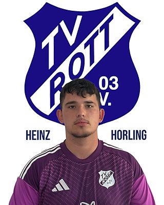 Heinz Horling