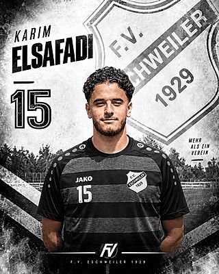 Karim Elsafadi