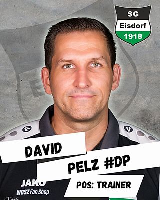 David Pelz
