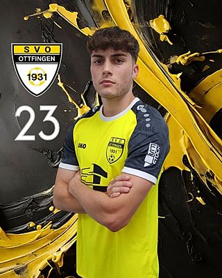 Raul Bauer
