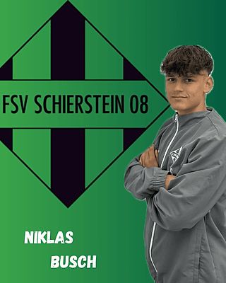 Niklas Busch
