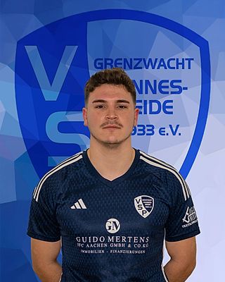 Nico van Reimersdahl