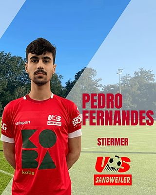 Rui Pedro Fernandes Lopes