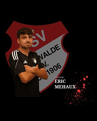 Eric Mehaux