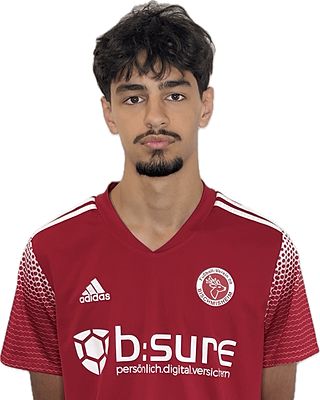 Baha-Nasralla Abdul-Hadi