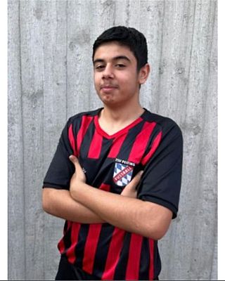 Ender Cicekli