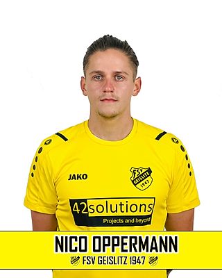 Nico Oppermann