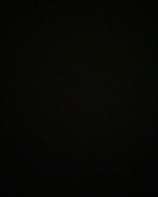 Alexander Petruschin