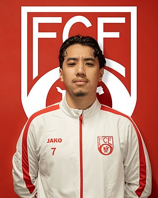 Alireza Wafahihanifa