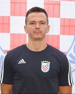 Dragan Jelavic