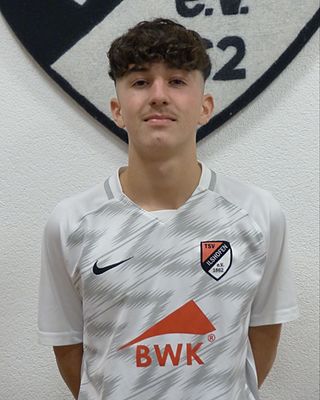 Leandro Jose Bareiß Teixeira