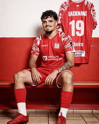 Luis Filipe Guedes-Ribeiro