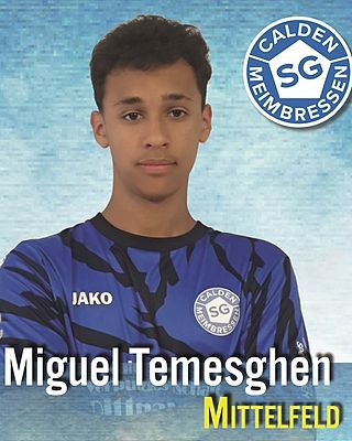 Miguel Temesghen
