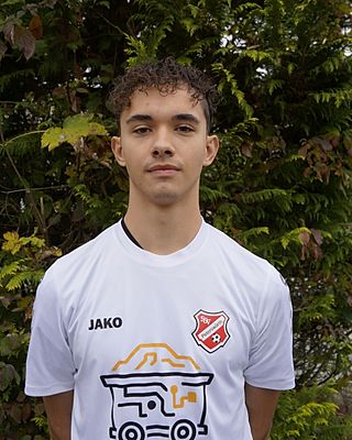 Luca Alessandro Morais de Almeida