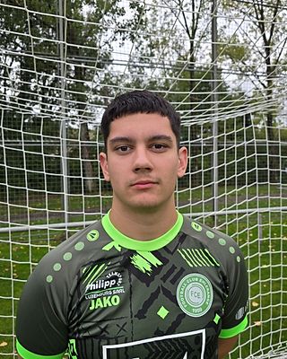 Dinel Sinanovic