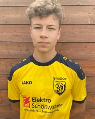 Theo von Bieberstein