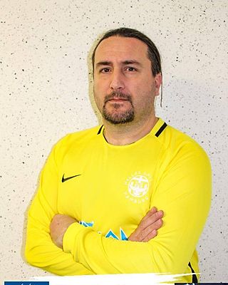Dimitrios Nikolaou