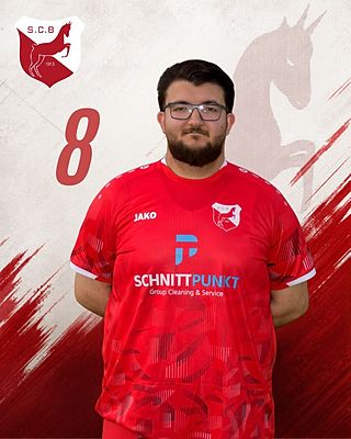 Mert Gedik