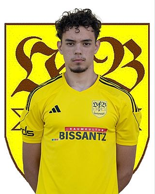 Martin Georgiev Iliev