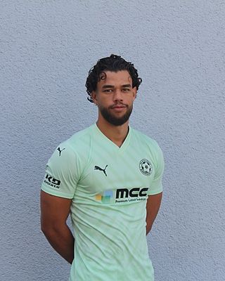 Fabian Schneider Utria