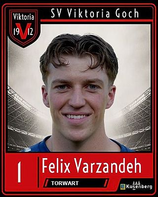 Felix Varzandeh