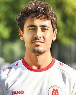 Michel-Angelo Triantafillou