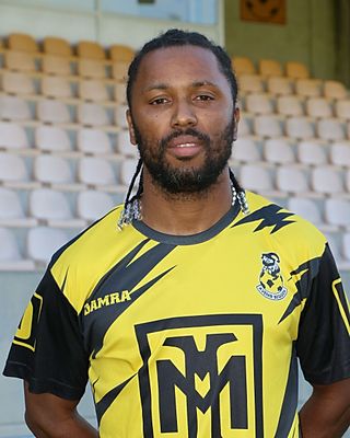 Ricardo Jorge Vieira Lopes Ribeiro