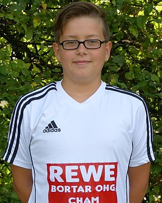 Dominik Cicej