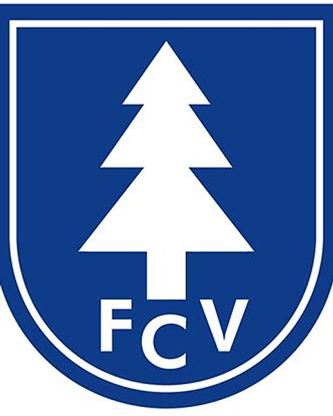 Foto: 1. FC 1919 Viechtach