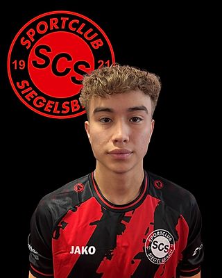 Amir Hoseyn Dostmohammadi