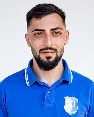 Ionut-Florinel Ivanescu