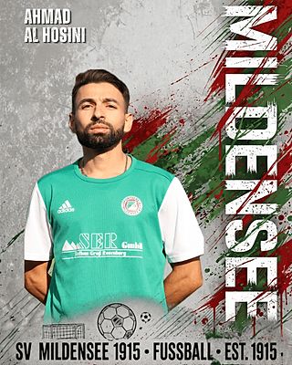Ahmad Al Hosini