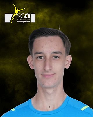 Luis Hölscher