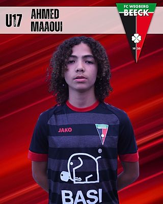 Ahmed Maaoui