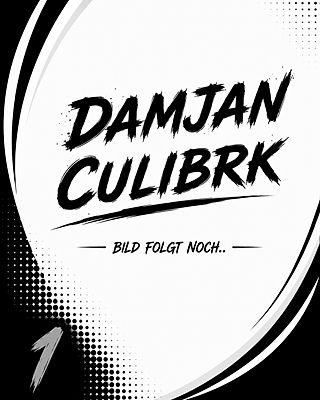 Damjan Culibrk