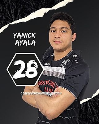 Yanick Aybar Ayala Solis