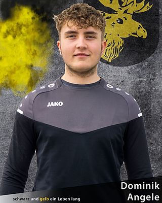 Dominik Angele