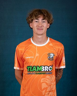 Niklas Calvin Arnold