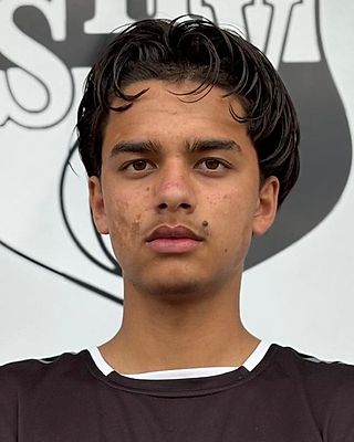 Mohammad Elham Mohammadi
